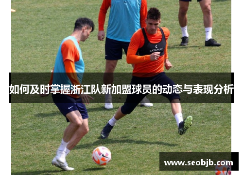 如何及时掌握浙江队新加盟球员的动态与表现分析