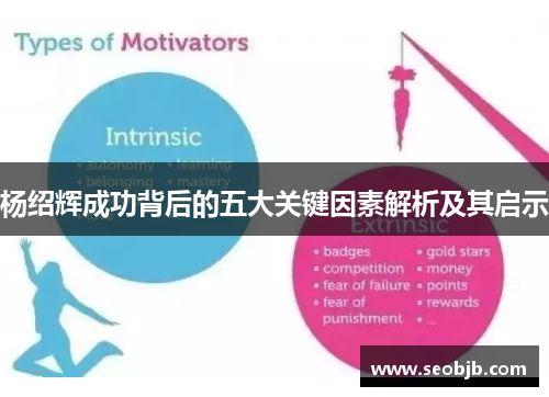 杨绍辉成功背后的五大关键因素解析及其启示