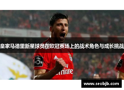 皇家马德里新星球员在欧冠赛场上的战术角色与成长挑战