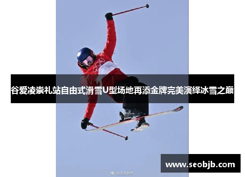 谷爱凌崇礼站自由式滑雪U型场地再添金牌完美演绎冰雪之巅 谷爱凌崇礼站自由式滑雪U型场地再添金牌完美演绎冰雪之巅