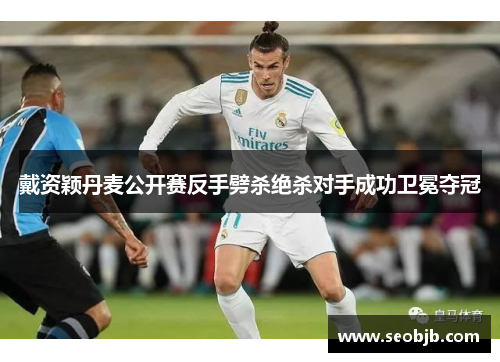 戴资颖丹麦公开赛反手劈杀绝杀对手成功卫冕夺冠